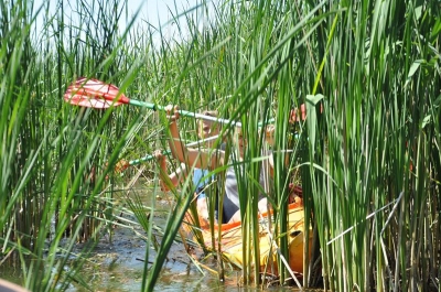 kajaki 41 20180523 1121306300