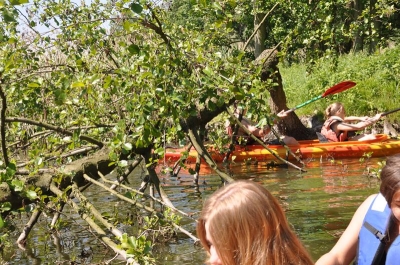 kajaki 48 20180523 1484826178