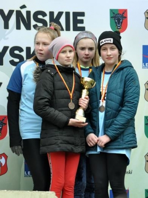 przeaje powiat 33 20190327 1041748817